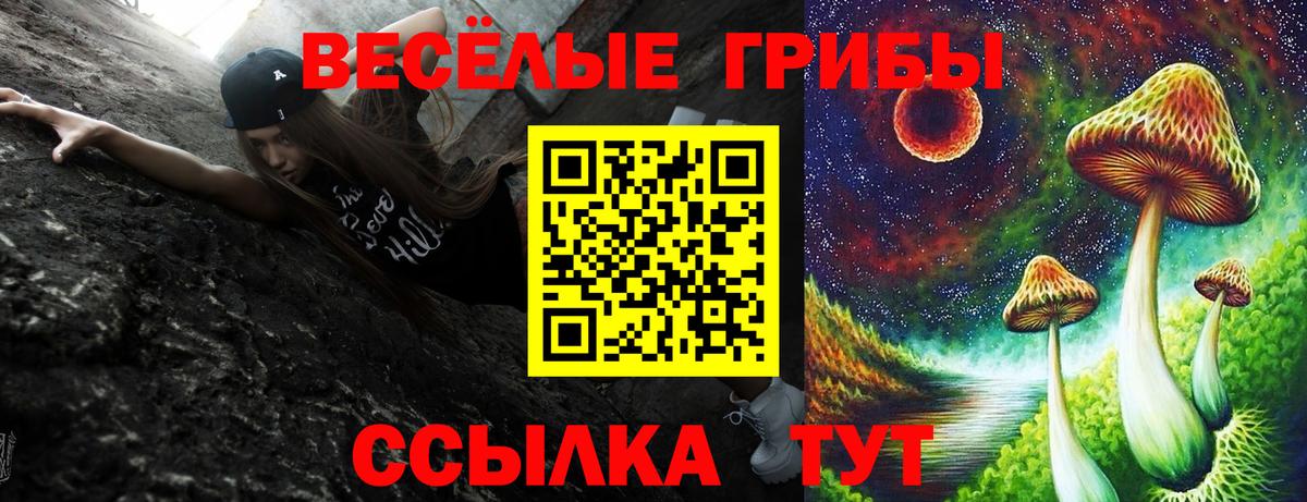 Киселёвск  Галлюциногенные грибы Psilocybe  Вход с VPN 